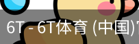 6T体育